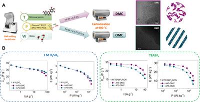Progress in the Use of Biosourced Phenolic Molecules for Electrode Manufacturing